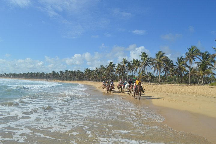 Horse Riding (1 hour) - Photo 1 of 9